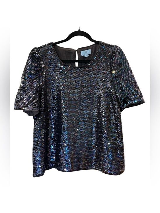 CeCe Tops - Cece Women’s Iridescent Sequin Mesh Dressy Blouse Top Shirt Dressy Party Size XL